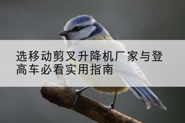 名山电动升降机厂家-选移动剪叉升降机厂家与登高车必看实用指南