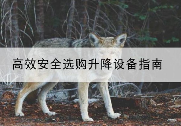 名山升降货梯厂家推荐-*安全选购升降设备指南
