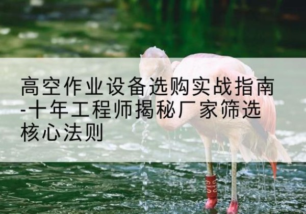 名山剪叉式升降机厂家-高空作业设备选购实战指南-十年工程师揭秘厂家筛选核心法则
